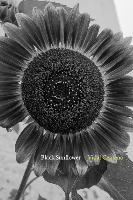 View Black Sunflower by Vidal Centeno