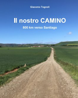 Il nostro Camino book cover