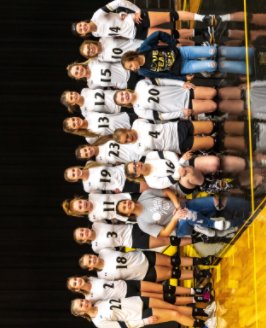 Doniphan Donettes Volleyball 2020 book cover