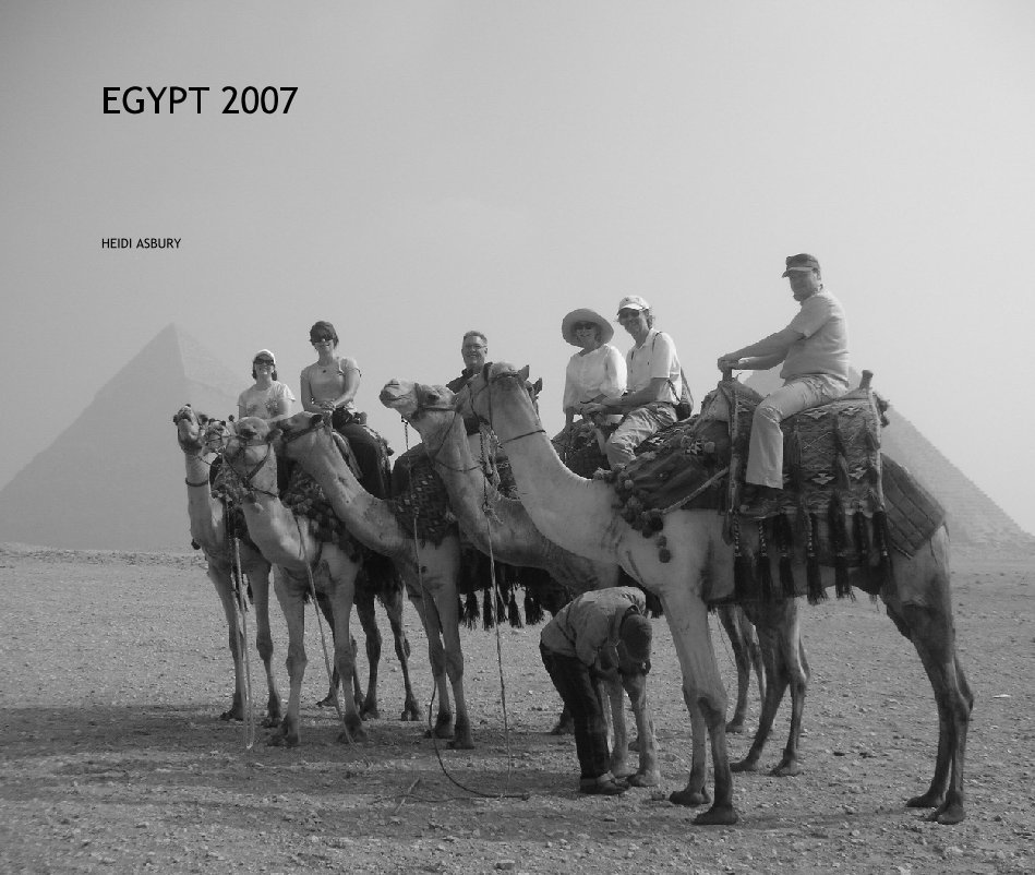 View EGYPT 2007 by Heidi M Asbury