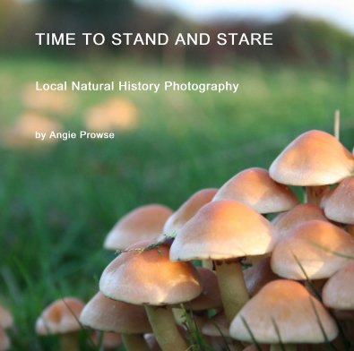 Time To Stand and Stare book cover