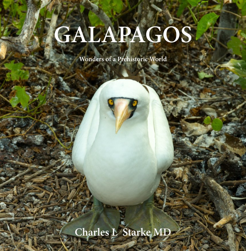 Ver Galapagos por Charles L Starke MD