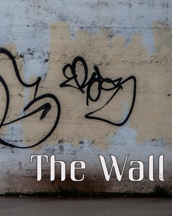 Visualizza The Wall di Brian J Segarra