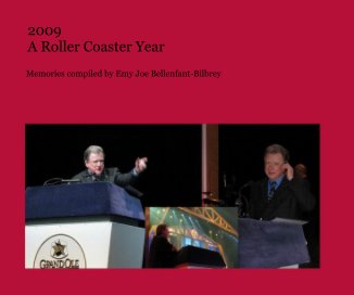 2009 A Roller Coaster Year book cover