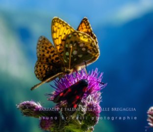 Farfalle e falene della Valle Bregaglia book cover