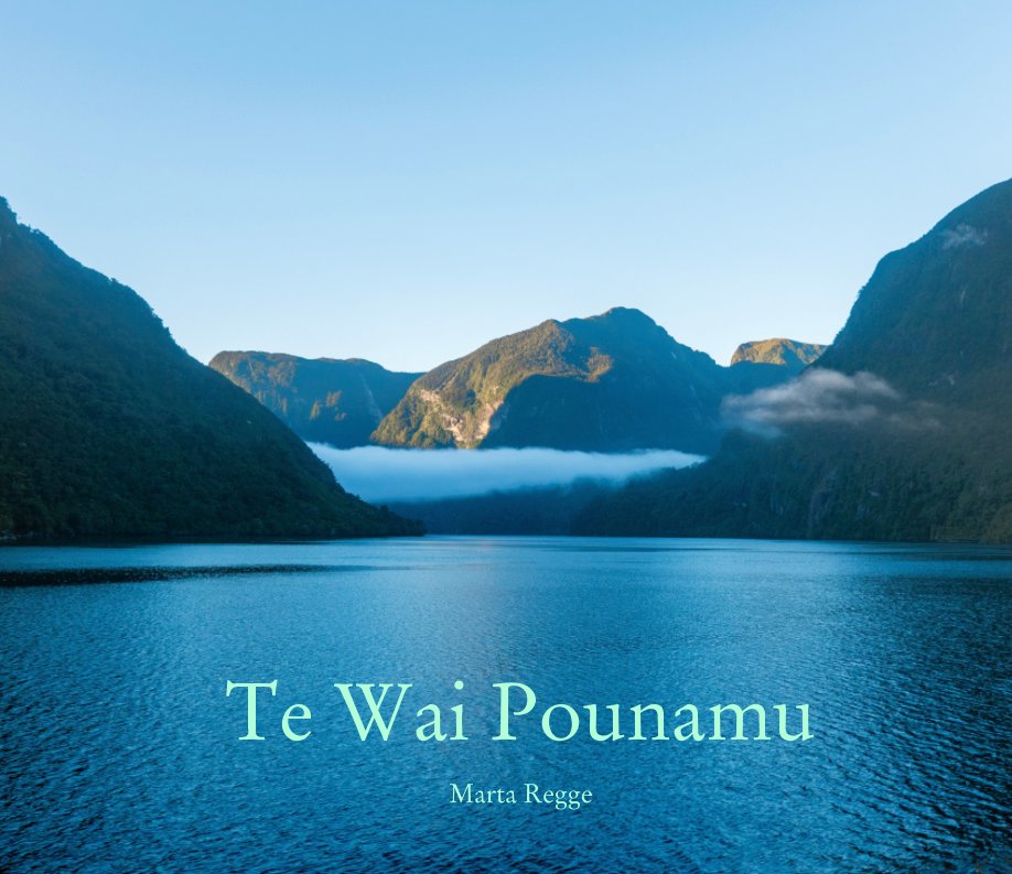 View Te Wai Pounamu by Marta Regge