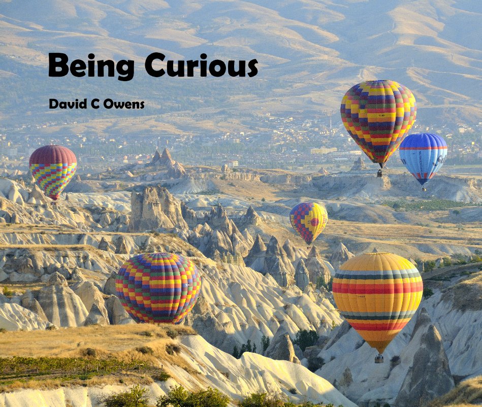 View Being Curious by David C Owens