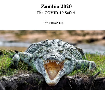 Zambia 2020 - The COVID-19 Safari book cover