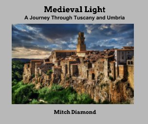 Medieval Light book cover