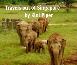 Travels out of Singapore 2015-2016 book cover