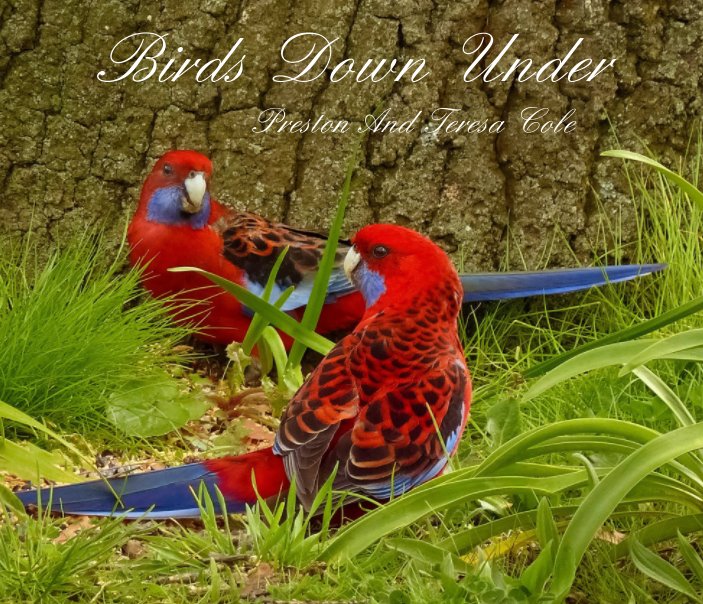 View Birds Down Under by Preston and Teresa Cole