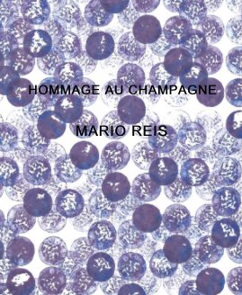 Hommage au champagne book cover