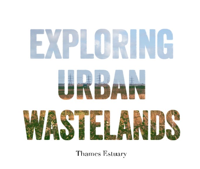 View Exploring Urban Wastelands by Orlando Britain