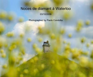 Noces de diamant Ã  Waterloo book cover