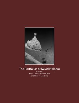 The Portfolios of David Halpern-Volume 2 book cover