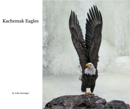 Kachemak Eagles book cover