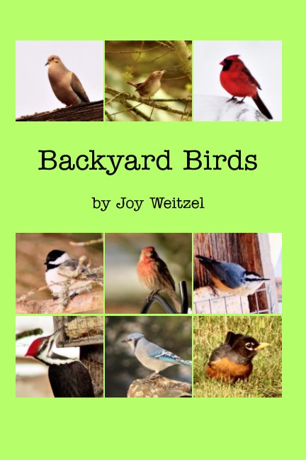 Visualizza Backyard Birds di Joy Weitzel