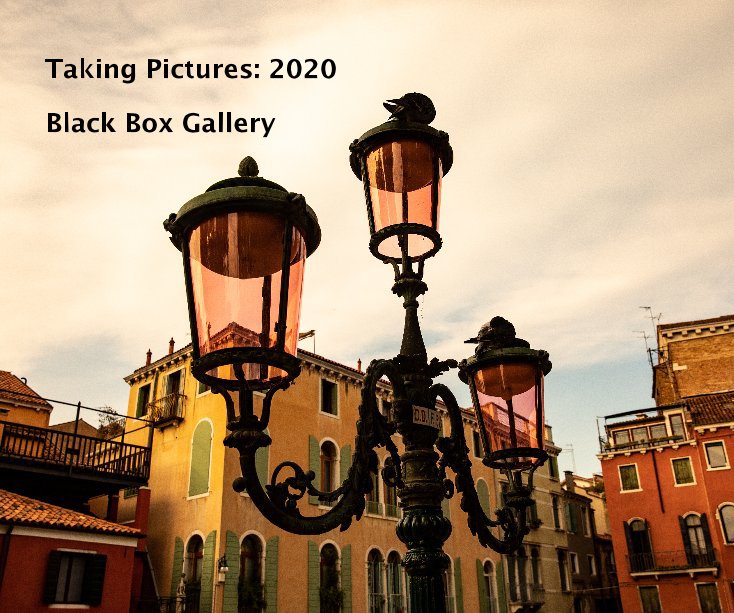 View Taking Pictures: 2020 by Black Box Gallery