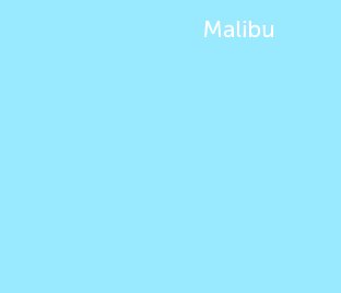 Malibu book cover