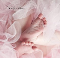 Ansley Marie book cover