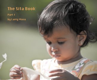 The Sita Book book cover