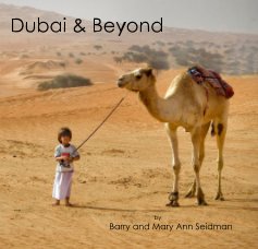 Dubai and Beyond book cover