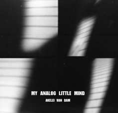 MY ANALOG LITTLE MIND book cover