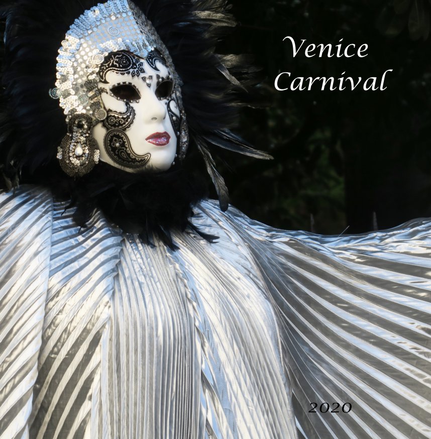 View Venice Carnival by João Gonçalves
