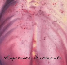 Supernova Remnants book cover