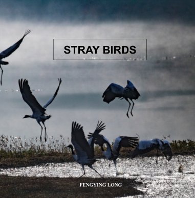 Stray Birds book cover