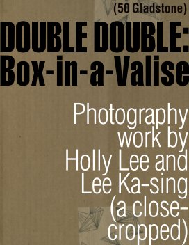 DOUBLE DOUBLE: Box-in-a-Valise (a close-cropped) book cover