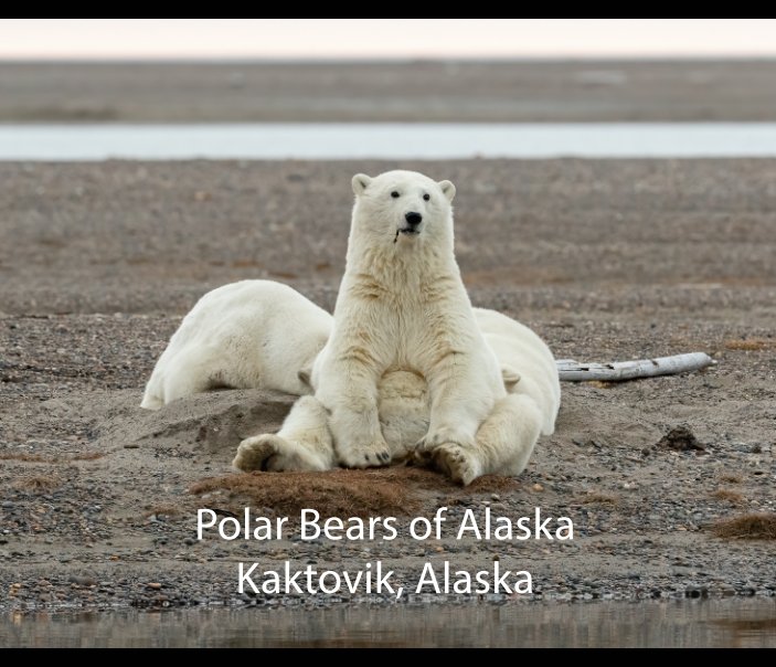 View Polar Bears of Alaska by Mary Jo Cox