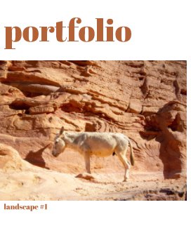 portfolio #1 landscape book cover
