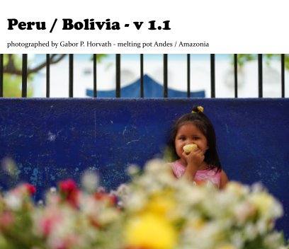 Peru / Bolivia book cover