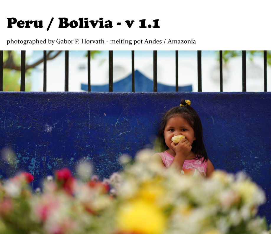 View Peru / Bolivia by Gabor P. Horvath