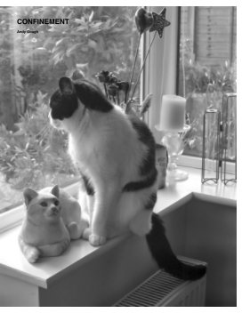 confinement book cover