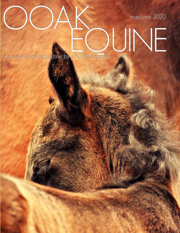 Bekijk OOAK EQUINE May/June 2020 Issue op Rae Lombino, Robin Lombino