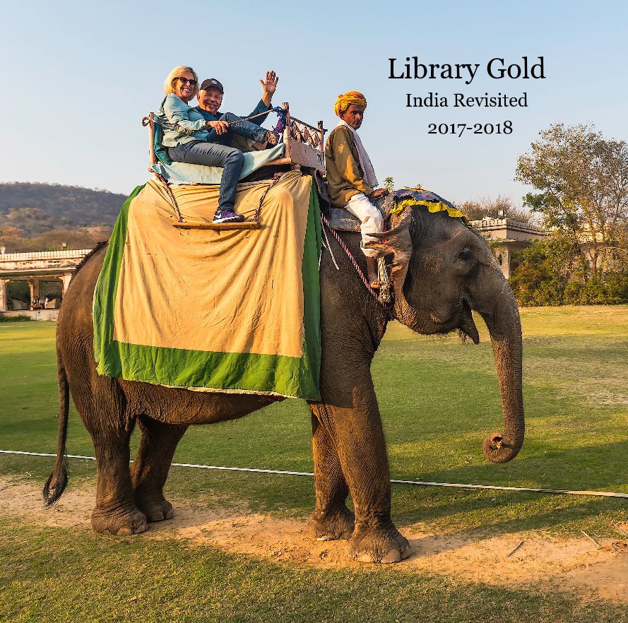 View Library Gold by George Katunich