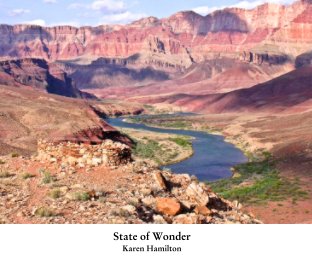 State of Wonder book cover