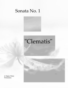 Sonata No. 1 book cover