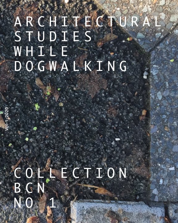 Bekijk Architectural studies while dogwalking op B C N