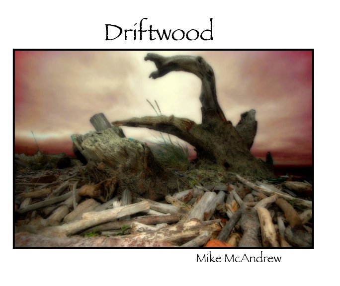 View Driftwood by Mike McAndrew