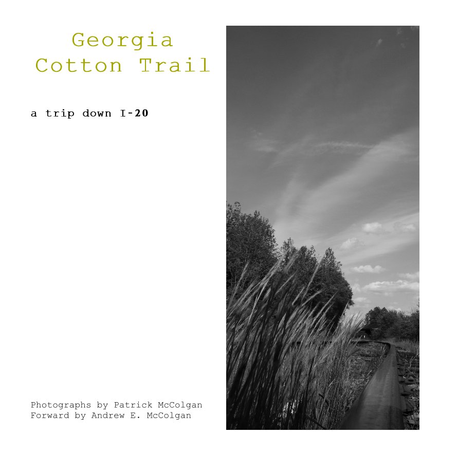 View Georgia Cotton Trail by Patrick McColgan