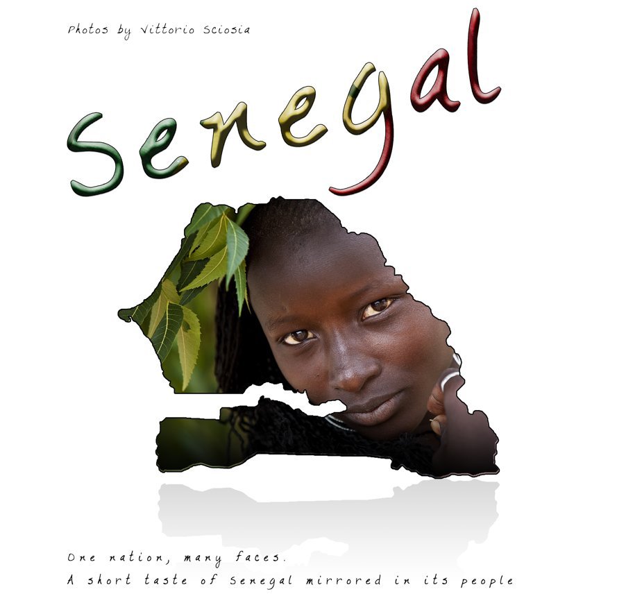 Visualizza Senegal 30x30 di Vittorio Sciosia