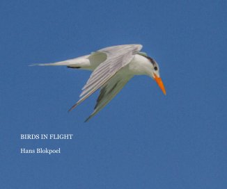 BIRDS in FLIGHT book cover