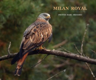 Milan royal book cover