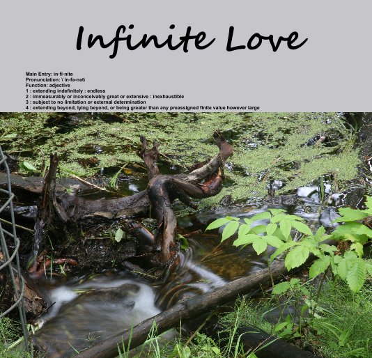 Ver Infinite Love por Roger Schmitz