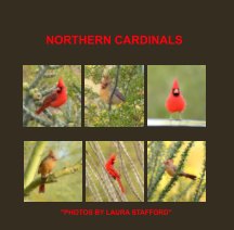 Northern Cardinals book cover