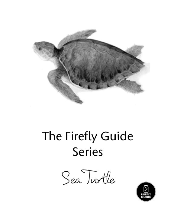 View The Firefly Guide Series - Sea Turtle by Firefly Guides