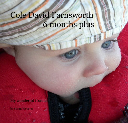 View Cole David Farnsworth 6 months plus by Susan Webster